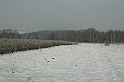 Przedwigilijny offroad 2007 007